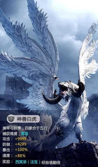 寻找丢失的钱包